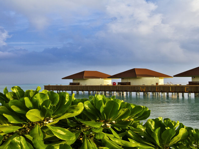 Hotel Maayafushi Tourist Resort 4 Turistichna Kompaniya Tur24